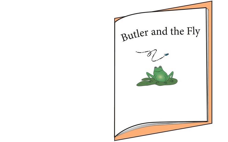 half title page