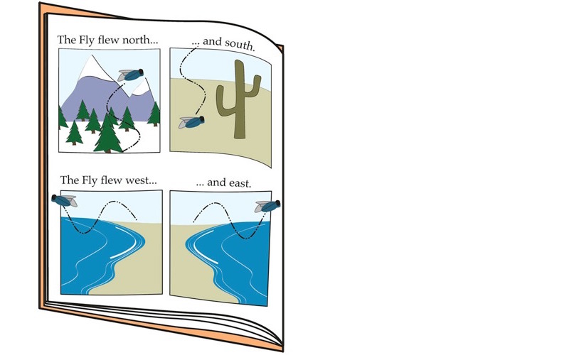 panels