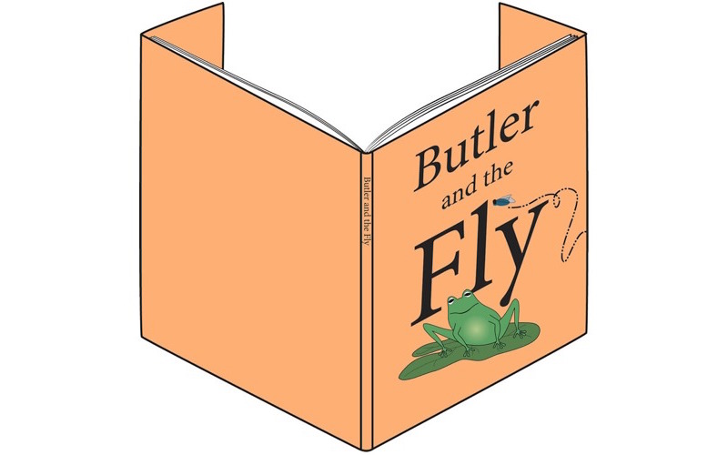 single-image cover